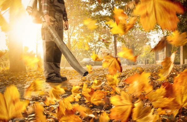 Cost of Leaf Blowing Service in North Fort Myers