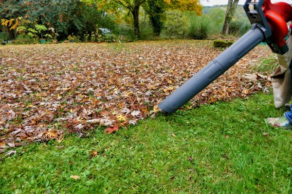 Cost of Leaf Vacuuming Service in North Fort Myers