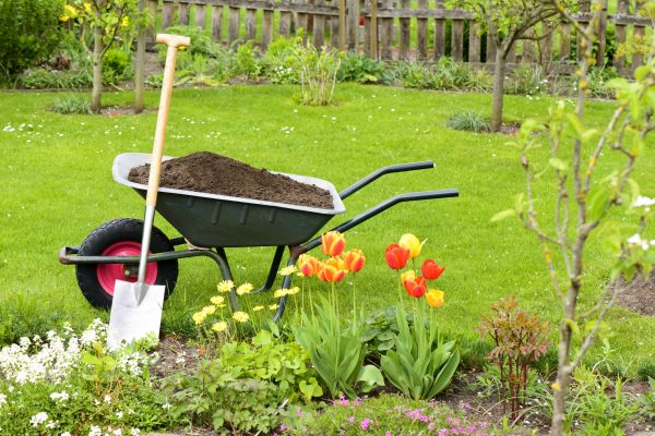 Cost of Spring Yard Cleanup in North Fort Myers