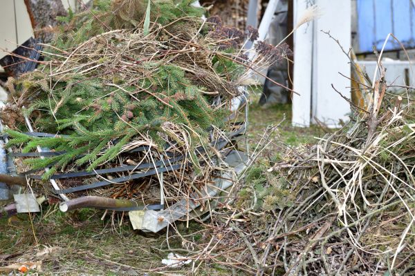 Cost of Yard Waste Removal Service in North Fort Myers