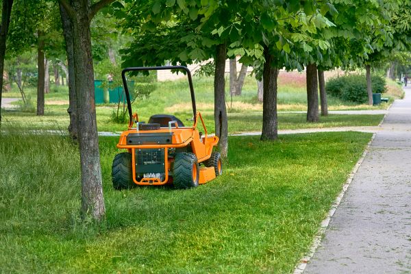 Cost of Landscaping Cleanup Service in North Fort Myers