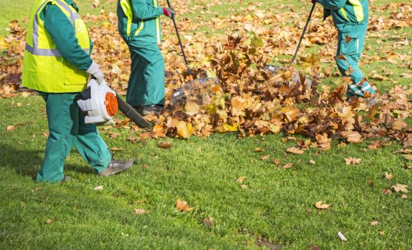 Cost of Leaf Maintenance in North Fort Myers