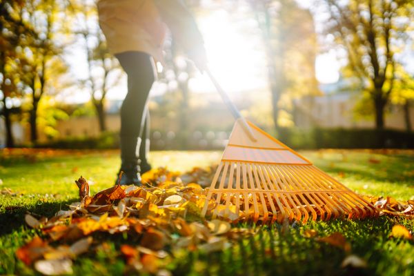 Cost of Leaves Raking in North Fort Myers