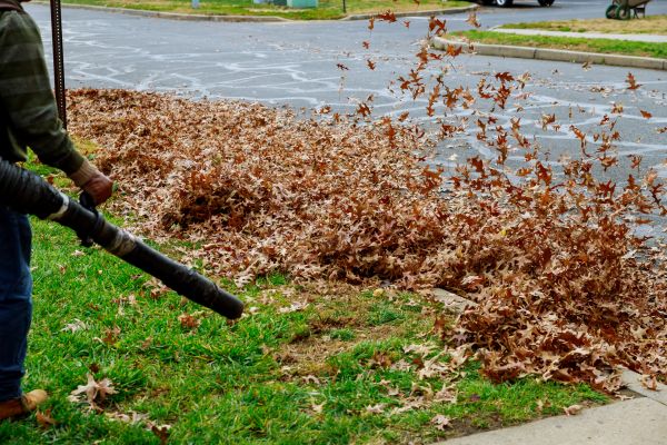 Cost of Garden Leaf Removal in North Fort Myers