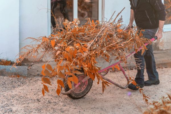 Cost of Lawn Debris Cleanup in North Fort Myers