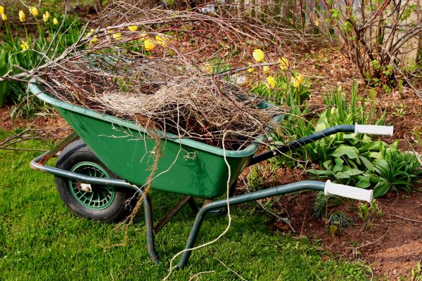 Cost of Lawn Waste Removal in North Fort Myers