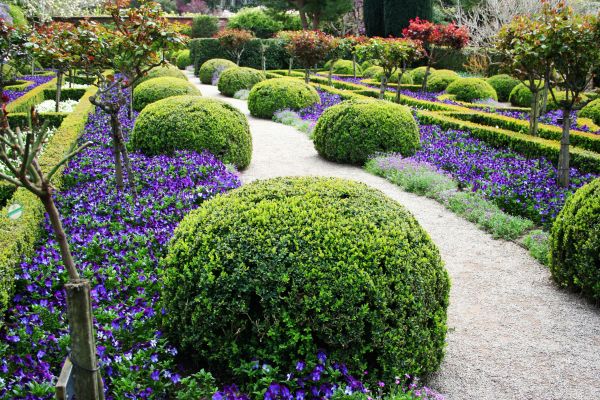 Springtime Lawn Restoration