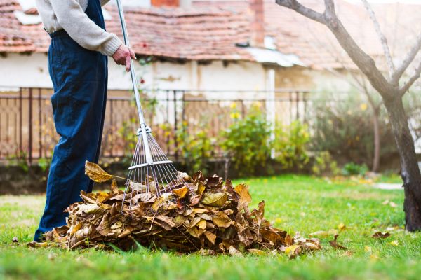 Cost of Fall Yard Cleanup Service in North Fort Myers