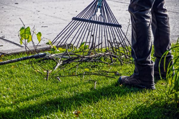 Cost of Yard Debris Cleanup in North Fort Myers