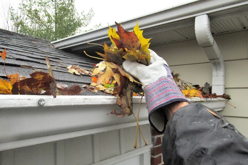 Gutter Clearing