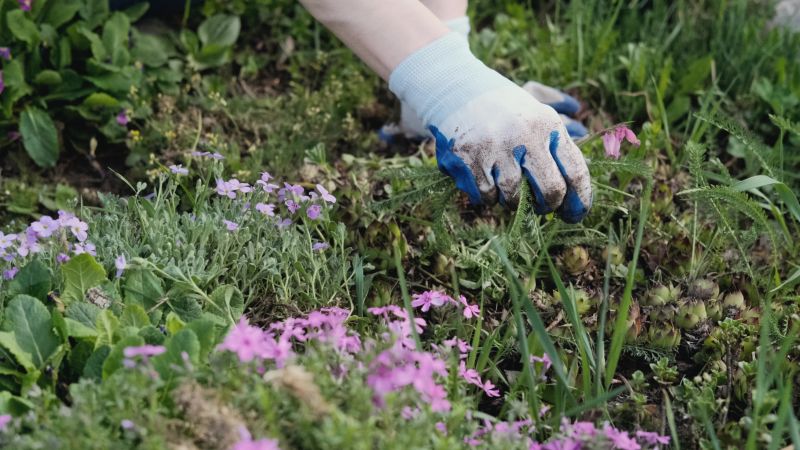 Flower Bed Weeding Service