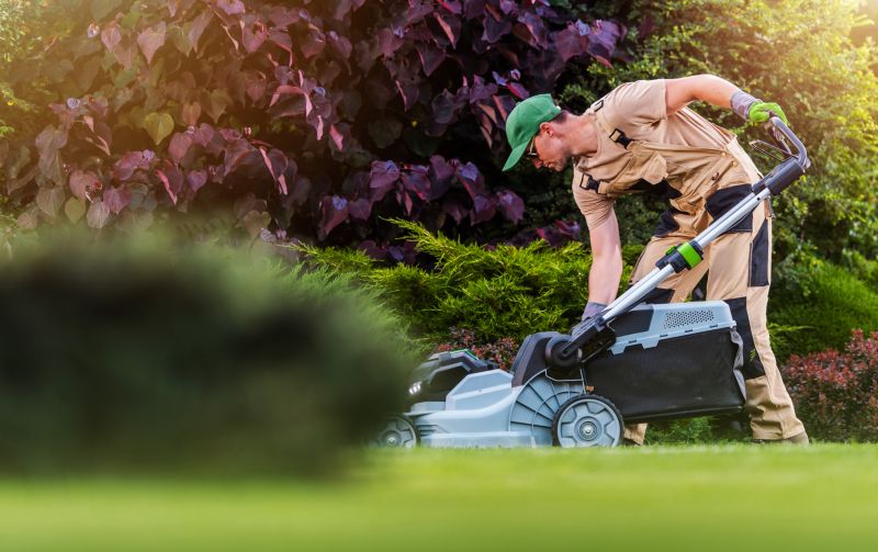 Specialized Lawn Clean Up Services